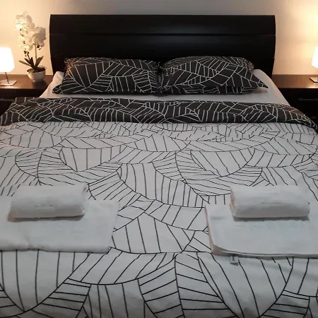 Guest house Private Rifat 3*