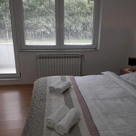 Guest house Private Rifat 3*